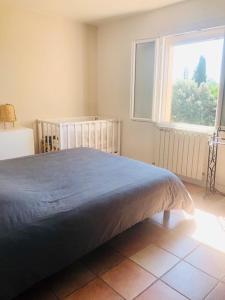 Magnifique propriété - piscine et jardin paysagé