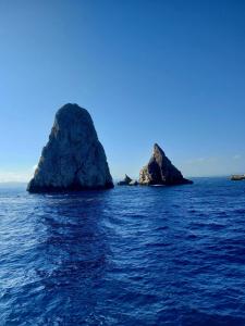 Illa mar d or l estartit costa brava illes medes