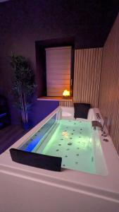 Appartements Le Cocon - Love & Spa : photos des chambres