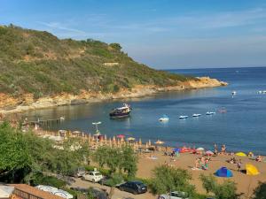 Apt Barbarossa by Solturelba