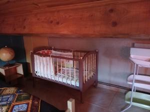 Appartements La Vigne : photos des chambres