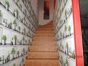 Appartements La Vigne : photos des chambres