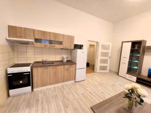 ČSA1 Central City Apartment Hradec Králové