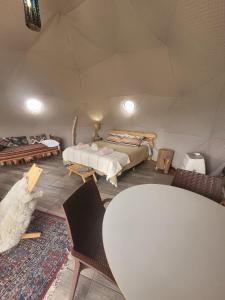 Domos Nomade en Trevelin