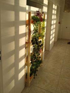 Apartamento em Pitangueiras, Guarujá 50mt da praia