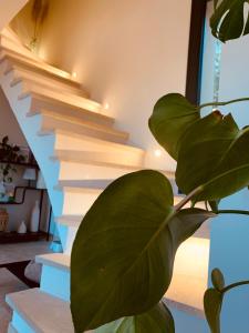 Villas Maison neuve climatisee, a 2 pas du centre de Bedoin, La Villa Thelo : photos des chambres