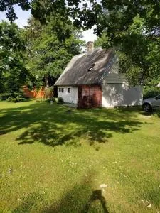 Cozy forest house - Vintri