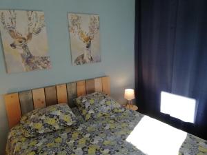 Appartements PEYRAGUDES BALESTAS T3 - 4-6pers - 2chambres : photos des chambres