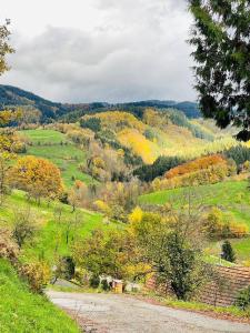 Einzigartiges Apartment, mitten in der Natur