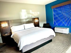 Standard Room room in Holiday Inn Express Hotel & Suites Hinesville an IHG Hotel