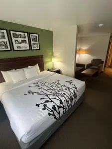 Sleep Inn & Suites Conference Center Eau Claire North - 梅诺莫尼