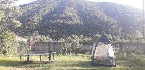 Maisons de vacances Le Mas Joyeux - Gite L-Orchidee en Cevennes : photos des chambres