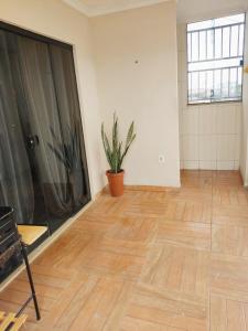 COP 30 Terraço Rio Guamá