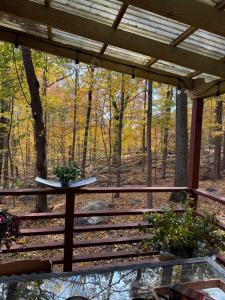 Spacious Room with a View of the Woods