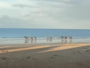 Appartements Appartement vue sur mer & le port de Courseulles-sur-Mer : photos des chambres