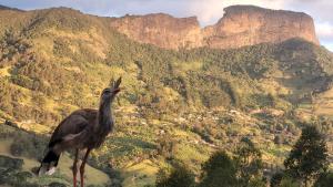 Oribá Refúgio Casa Familiar