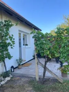 Apartmán Hrozínek - Březí