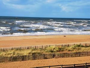 Appartements Grand studio face a la mer : photos des chambres