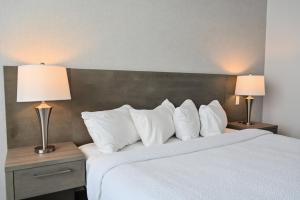 Repotel Levis