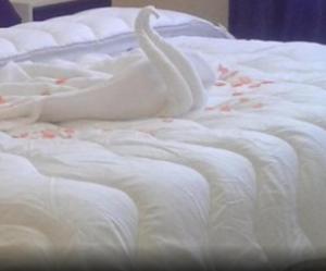 Belle vue Belle situation