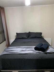 Departamento Santiago