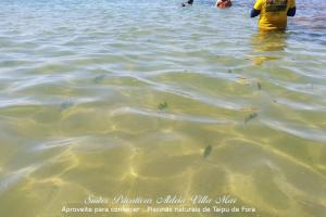 Suítes Privativas Aldeia Villa Mar