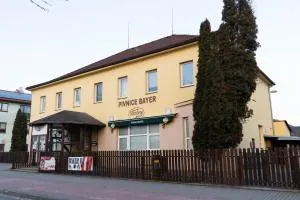 Hotel Bayer - 克罗梅日什