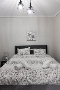 Comfortable Suites 2