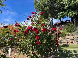 Lago Amor de Valle Glamping
