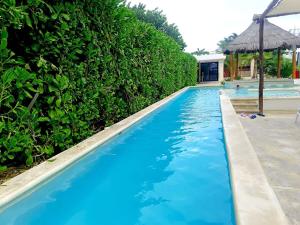 Casa Apolo, piscina y club de playa