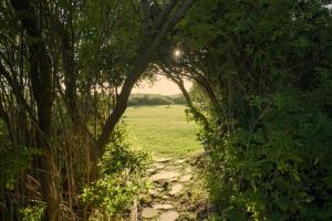 Cozy House with Sea and Mountain Views