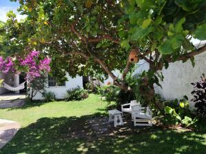 Casa Héstia Aracaju