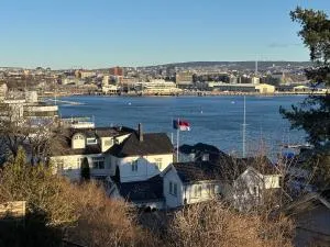Fantastic apartment with garden and sea view on Bygdøy - 奥斯陆