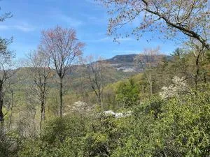 Amazing Views in 1 BR cottage unit with private hot tub - Salem