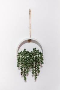 3 Bedroom Home Free Parking & WiFi Contractors Welcome!