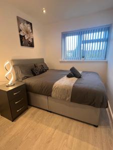 Stylish modern house