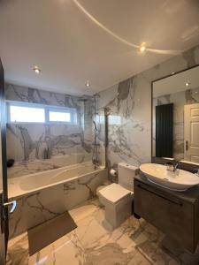 Stylish modern house