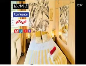 Appart lumineux et spacieux au centre-ville de Lyon - 圣热尼拉瓦勒