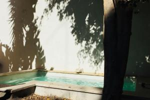 Pool & Garden Apt In the Heart of Lisbon