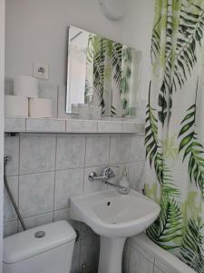 U Kocurka - przy Termach Cieplickich