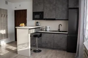 MyPlace Gray Apartment Sandomierz - Andruszkowice