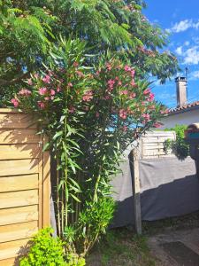 Maison Girondine 4 personnes