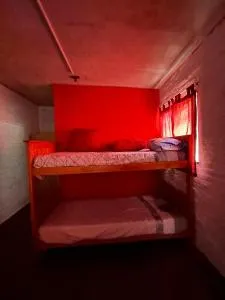 Raices cruzadas Contacto con lo natural - Torres