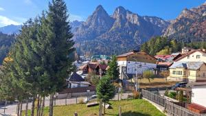 Vila PANORAMIC Busteni