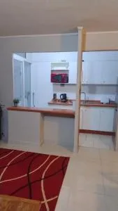 Añañuca #405 - Vallenar