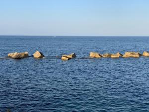 Il Fico d India - Holiday Home