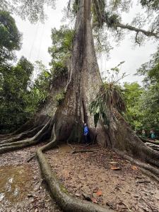 YAKU lodge & camping