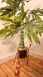 شقة فاخرة بالطراز البوهيمي قرب المسجد النبوي 2