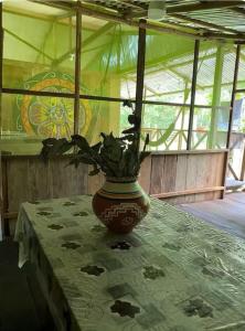 YAKU lodge & camping