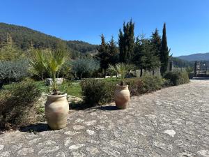 Agriturismo Serra Moneta